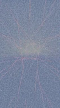 Organik desenli yüzey giriş stili video film sanatı ile soyut arkaplan tasarımı