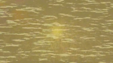 Organik desenli yüzey giriş stili video film sanatı ile soyut arkaplan tasarımı