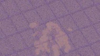 Benzersiz hareket dokusu tasarım sanatı ile profesyonel video düzenleme için modern soyut grafikler