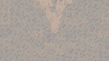 Dijital doku yüzey tasarım biçimi ile modern video animasyonu için gelişmiş hareket grafikleri