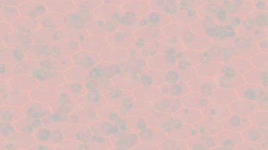 Benzersiz dijital hareket grafiklerine sahip yaratıcı sinematik projeler için yumuşak animasyon yüzeyi