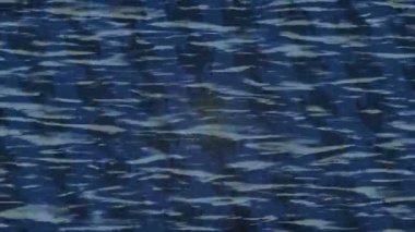 Benzersiz dijital hareket grafiklerine sahip yaratıcı sinematik projeler için yumuşak animasyon yüzeyi