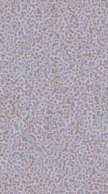 Estetik doku arkaplan tasarımı renkli hareket grafikleri ile moda film giriş profosyoneli