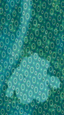 Profesyonel video projeleri sanat tarzı için organik hareketli arkaplan tasarımı