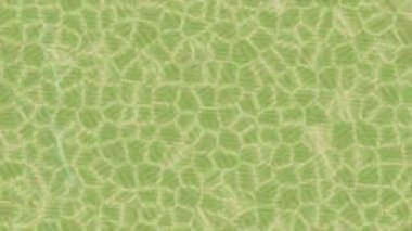 Benzersiz dijital hareket grafiklerine sahip yaratıcı sinematik projeler için yumuşak animasyon yüzeyi