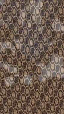 Benzersiz video giriş tasarımı projeleri için detaylı yüzey kalıbı film animasyon stili grafik girişi