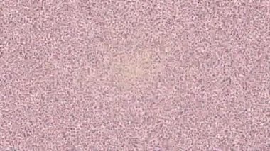 Benzersiz dijital hareket grafiklerine sahip yaratıcı sinematik projeler için yumuşak animasyon yüzeyi