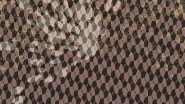 Lüks hareket tasarımı üst düzey video projeleri ve dijital sanat için zarif, pürüzsüz bir dokusu var.