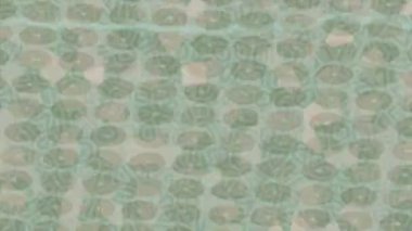 Soyut hareket desenli fütüristik video üretimi için dinamik dijital arkaplan