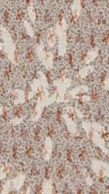 Soyut hareket desenli fütüristik video üretimi için dinamik dijital arkaplan