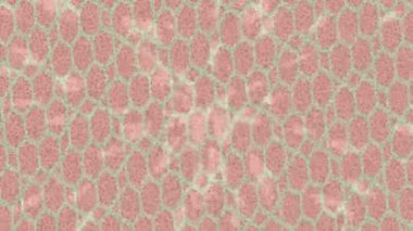 Soyut hareket desenli fütüristik video üretimi için dinamik dijital arkaplan