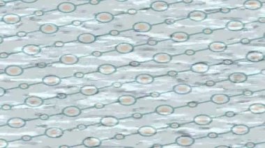 Yaratıcı video düzenleme film arkaplan tasarımı için minimalist organik hareket grafikleri