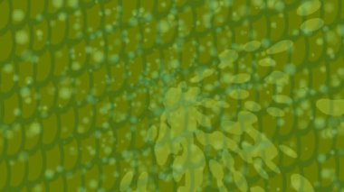 Benzersiz dijital hareket grafiklerine sahip yaratıcı sinematik projeler için yumuşak animasyon yüzeyi