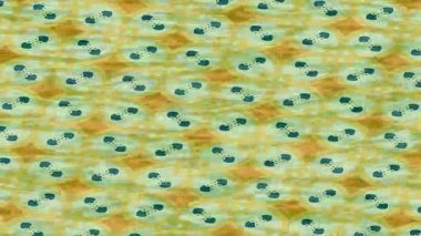 Yaratıcı video düzenleme film tasarımı için benzersiz hareket grafikleri biçimi giriş hareketi video pro