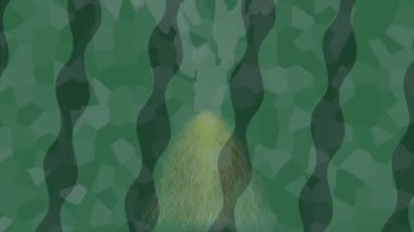 Dijital doku yüzey tasarım biçimi ile modern video animasyonu için gelişmiş hareket grafikleri