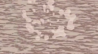 Yaratıcı video düzenleme film arkaplan tasarımı için minimalist organik hareket grafikleri