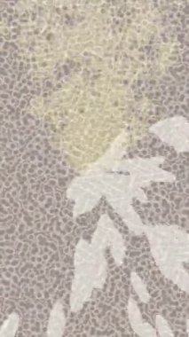 Benzersiz video giriş tasarımı projeleri için detaylı yüzey kalıbı film animasyon stili grafik girişi