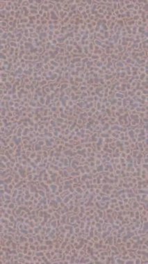 Yaratıcı video düzenleme film arkaplan tasarımı için minimalist organik hareket grafikleri