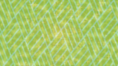 Dijital doku yüzey tasarım biçimi ile modern video animasyonu için gelişmiş hareket grafikleri