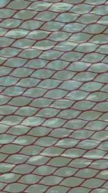 Yaratıcı video düzenleme film tasarımı için benzersiz hareket grafikleri biçimi giriş hareketi video pro