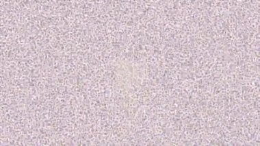 Dijital doku yüzey tasarım biçimi ile modern video animasyonu için gelişmiş hareket grafikleri