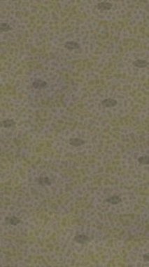 Lüks hareket tasarımı üst düzey video projeleri ve dijital sanat için zarif, pürüzsüz bir dokusu var.