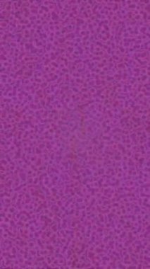 Lüks hareket tasarımı üst düzey video projeleri ve dijital sanat için zarif, pürüzsüz bir dokusu var.