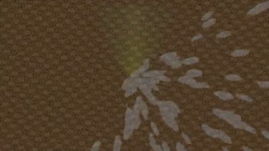 Organik desenli yüzey giriş stili video film sanatı ile soyut arkaplan tasarımı