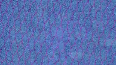 Benzersiz dijital animasyon tarzı grafikleri olan yaratıcı ortam tasarımı için yenilikçi hareket dokusu