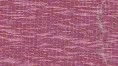 Lüks hareket projeleri için soyut tasarım stili animasyonu olan üst düzey dijital doku