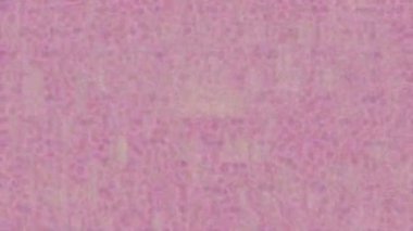 Benzersiz video giriş tasarımı projeleri için detaylı yüzey kalıbı film animasyon stili grafik girişi