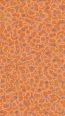 Yaratıcı video düzenleme film tasarımı için benzersiz hareket grafikleri biçimi giriş hareketi video pro