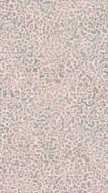 Dijital doku yüzey tasarım biçimi ile modern video animasyonu için gelişmiş hareket grafikleri