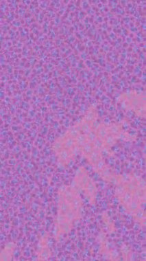 Benzersiz dijital hareket grafiklerine sahip yaratıcı sinematik projeler için yumuşak animasyon yüzeyi