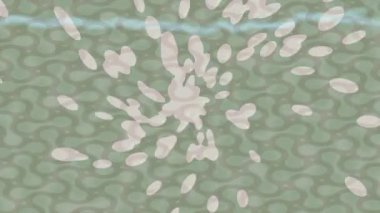 Lüks hareket projeleri için soyut tasarım stili animasyonu olan üst düzey dijital doku