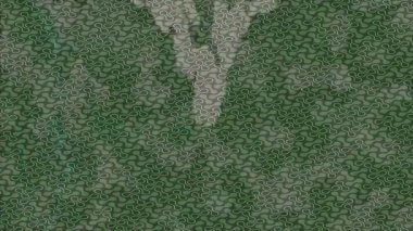 Profesyonel video projeleri sanat tarzı için organik hareketli arkaplan tasarımı