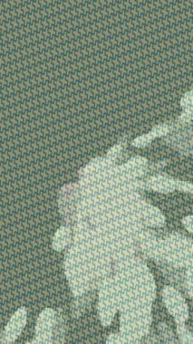 Estetik doku arkaplan tasarımı renkli hareket grafikleri ile moda film giriş profosyoneli