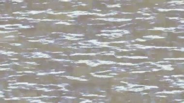 Estetik doku arkaplan tasarımı renkli hareket grafikleri ile moda film giriş profosyoneli