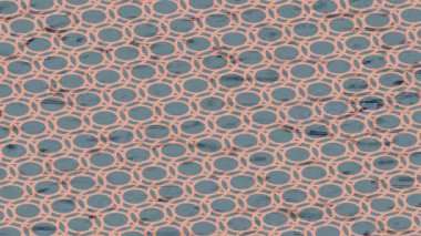 Soyut hareket desenli fütüristik video üretimi için dinamik dijital arkaplan