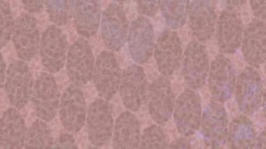 Benzersiz hareket dokusu tasarım sanatı ile profesyonel video düzenleme için modern soyut grafikler