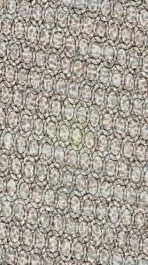 Estetik doku arkaplan tasarımı renkli hareket grafikleri ile moda film giriş profosyoneli