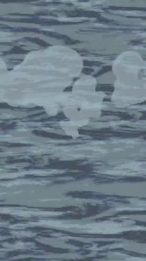 Benzersiz dijital animasyon tarzı grafikleri olan yaratıcı ortam tasarımı için yenilikçi hareket dokusu