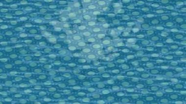 Yaratıcı video düzenleme film arkaplan tasarımı için minimalist organik hareket grafikleri