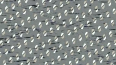 Lüks hareket tasarımı üst düzey video projeleri ve dijital sanat için zarif, pürüzsüz bir dokusu var.