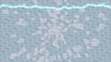 Benzersiz dijital hareket grafiklerine sahip yaratıcı sinematik projeler için yumuşak animasyon yüzeyi