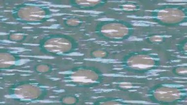 Yaratıcı video düzenleme film arkaplan tasarımı için minimalist organik hareket grafikleri