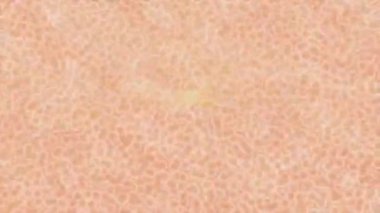 Benzersiz dijital hareket grafiklerine sahip yaratıcı sinematik projeler için yumuşak animasyon yüzeyi