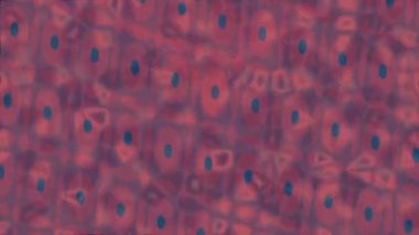 Estetik doku arkaplan tasarımı renkli hareket grafikleri ile moda film giriş profosyoneli