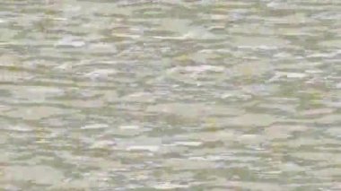 Modern medya üretimi için fütüristik dijital soyut doku sinematik tarz hareketli grafik ögesi