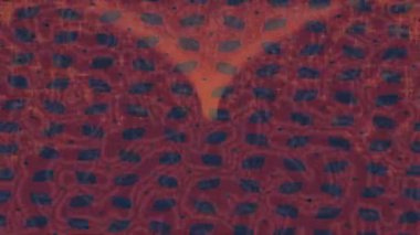 Benzersiz hareket grafikleri tasarım sanatına sahip yaratıcı film üretimi için özet bir arkaplan